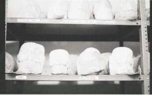Unknown Provenance, Architectural Sculpture (PNK: KHM 7 - 78)