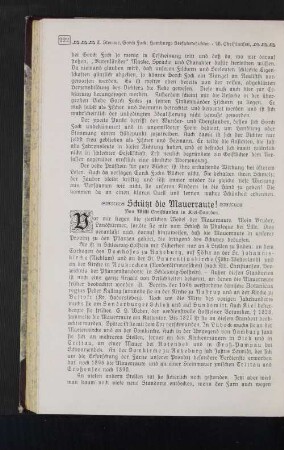 Schützt die Mauerraute!