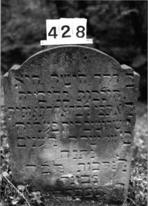 Grabstein 428 (Index: 99803694) Material: Sandstein Maße HxBxT: 84x59x11 cm Beschreibung: Stele mit Segmentbogenabschluß, Seitenakroterien: Grabstein 428 (2)