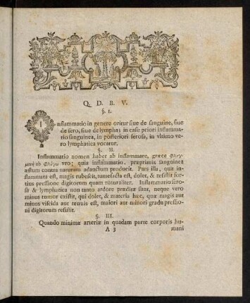 5-20, Text