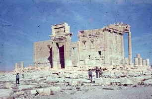 Palmyra Bel-Tp