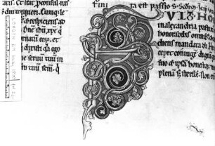 Rankeninitiale F, Folio 13 verso