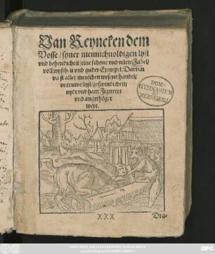 REynike Vosz de || Olde/ nyge gedrücket/ mit || sydlykem vorstande/ vnd schönen Figuren/|| erlüchtet vnd vorbetert.|| ... ||