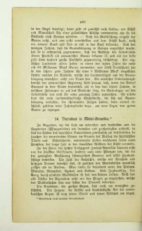 54. Tierleben in Mittel-Amerika