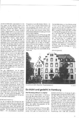 Es blüht und gedeiht in Hamburg