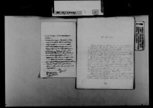 Schreiben von Coelestine Eisele, Freiburg, an August Lamey: Dank für das Vertrauen in die Lehranstalt St. Ursula.