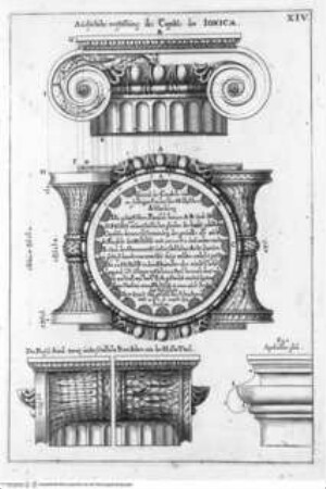 L'Academia Todesca della Architettura, Scultura e pittura: Oder Teutsche Academie der Edlen Bau- Bild- und Mahlerey-Künste:..., 1. Teil, 1. Buch, Tafel XIV: Ionica, Ausführliche Vorstellung des Cappitels