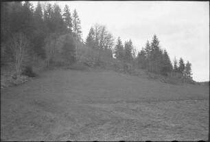 Umgwbung der Albtalsperre