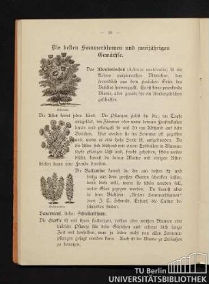 Die besten Sommerblumen und zweijährigen Gewächse.