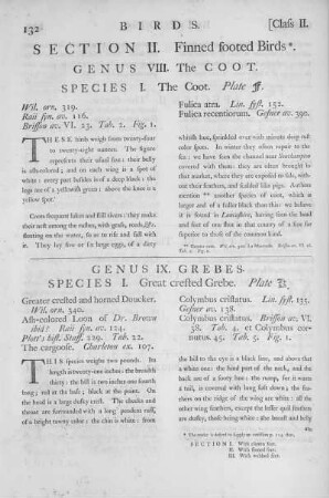 Section II. Finned footed Birds