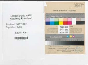 Entnazifizierung Karl Lauer , geb. 06.06.1897 (Ingenieur)