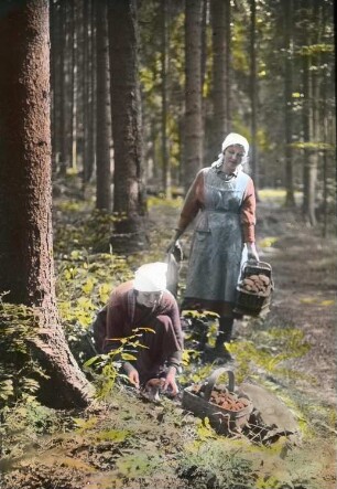 Frauen beim Pilze sammeln