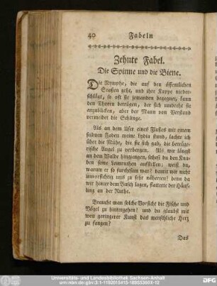 Zehnte Fabel. Die Spinne und die Biene.