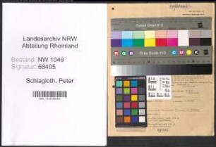 Entnazifizierung Peter Schlagloth , geb. 29.04.1903 (Haendler)