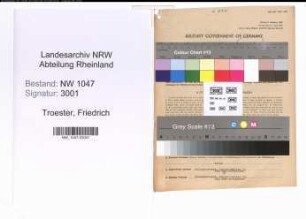 Entnazifizierung Friedrich Troester , geb. 22.09.1887 (Anwalt)