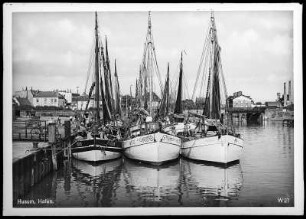 Husum. Hafen mit Fischerbooten