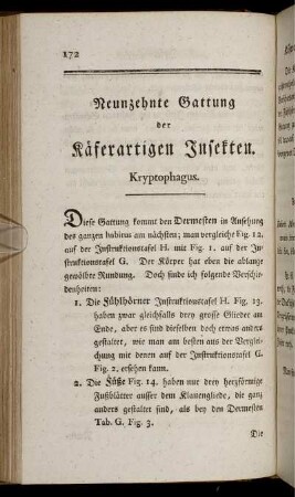 Neunzehnte Gattung der Käferartigen Insekten. Kryptophagus.