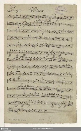 Violono.