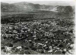 Antigal bei Camacho