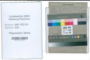 Entnazifizierung Selma Piepenstock , geb. 00.00.0000 (Buchhalterin)
