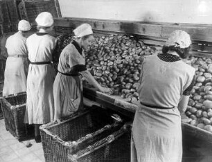 Hamburg-Hamm. In der Großbäckerei Eiffestraße der Handelskette "Pro" werden Rundstücke (Brötchen) zum Ausliefern fertig gemacht.