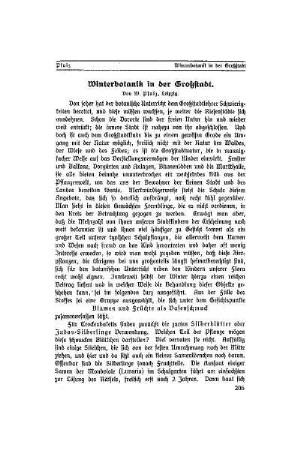 Winterbotanik in der Großstadt