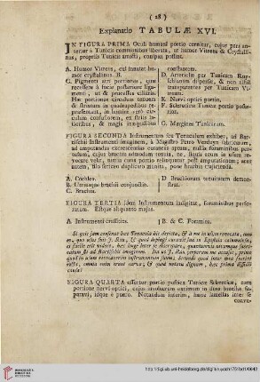 Explanatio tabulae XVI