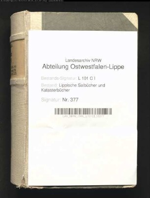 Salbuch des Amtes Brake von 1821, Bd. 1
