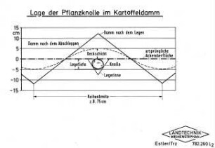 Lage der Pflanzknolle im Kartoffeldamm