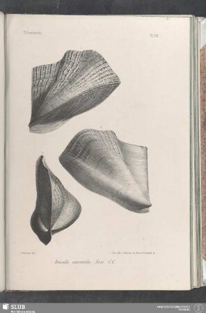 Pl. 392