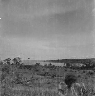 Victoriasee : Blick über die Uferlandschaft des Victoriasee bei Entebbe