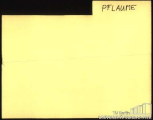 PFLAUME: Allgemein