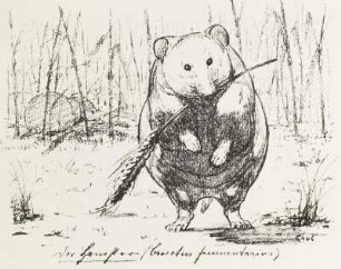 Der Hamster