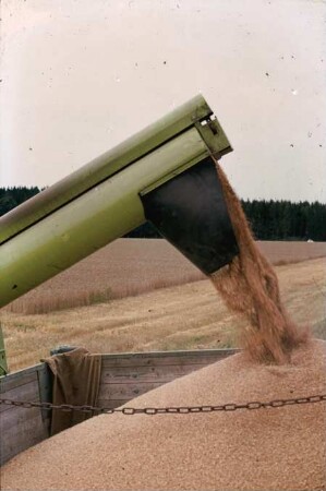 Fotografie: Mähdrusch, Korntank, Be- und Entladen