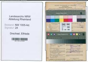 Entnazifizierung Elfriede Drechsel , geb. 03.05.1914 (Stenotypistin)