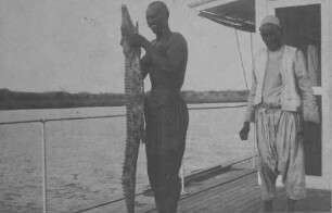 Männer mit gejagtem Krokodil auf dem Flussdampfer "Omdurman" [Reise nach dem Sudan, Band 1]