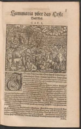 Summaria uber das Erste Buch Mosi.