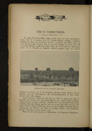 Sisal in Deulsch-Ostafrika