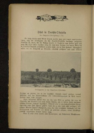 Sisal in Deulsch-Ostafrika