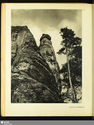 Barbarine am Pfaffenstein