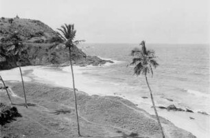 Küste bei Bahia : Blick auf einen Strand mit Palmen und Küste