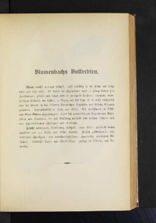 Blumenbachs Butterbirn.