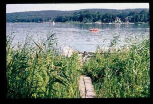 Schwielowsee/Ferch 11.8.76.