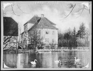 Polenz. Rittergut - Teich mit Schwänen