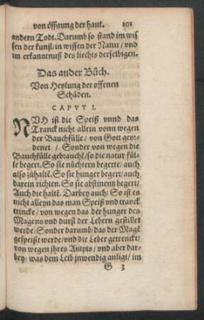 Das ander Buch. Von Heylung der offenen Schäden.