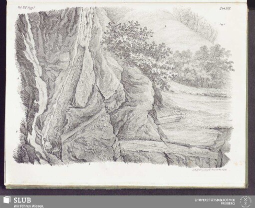 Tab XVII
