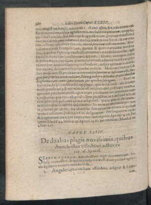 Caput XXXIV. De duabus plagis novissimis, quibus Antichristus visitatibur, adhuc ex cap. 16. Apocal.