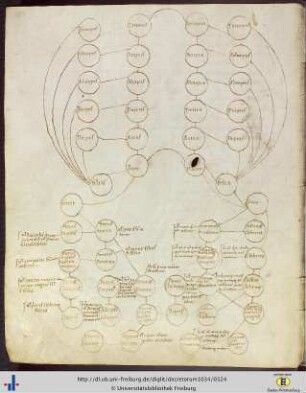 (159v) Weiteres Schema der Verwandtschaftsgrade (Arbor consanguinitatis).
