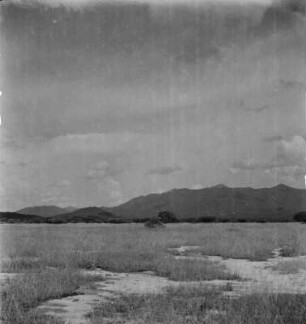 Landschaft : Blick über eine Ebene im Ruaha National Park in Richtung der Berge