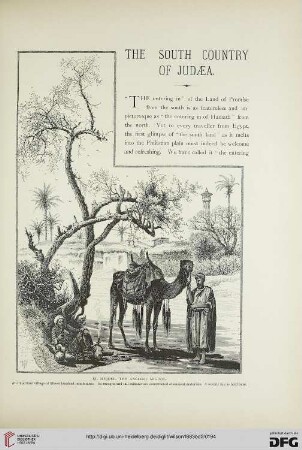 The south country of Judaea